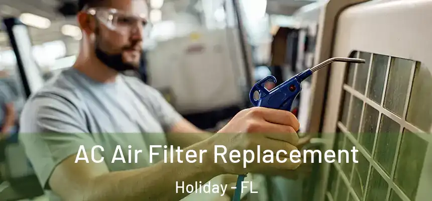 AC Air Filter Replacement Holiday - FL