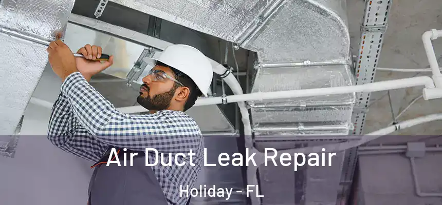 Air Duct Leak Repair Holiday - FL