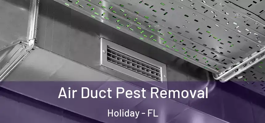 Air Duct Pest Removal Holiday - FL