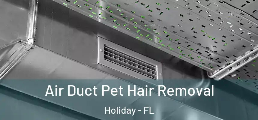 Air Duct Pet Hair Removal Holiday - FL