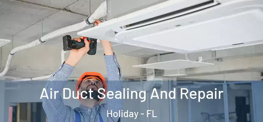 Air Duct Sealing And Repair Holiday - FL
