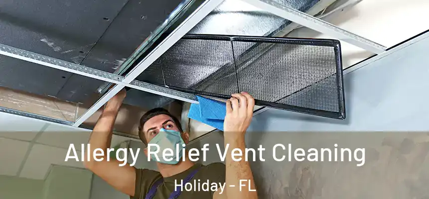 Allergy Relief Vent Cleaning Holiday - FL