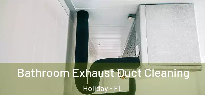 Bathroom Exhaust Duct Cleaning Holiday - FL