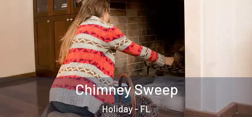 Chimney Sweep Holiday - FL