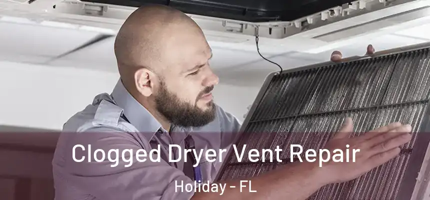 Clogged Dryer Vent Repair Holiday - FL