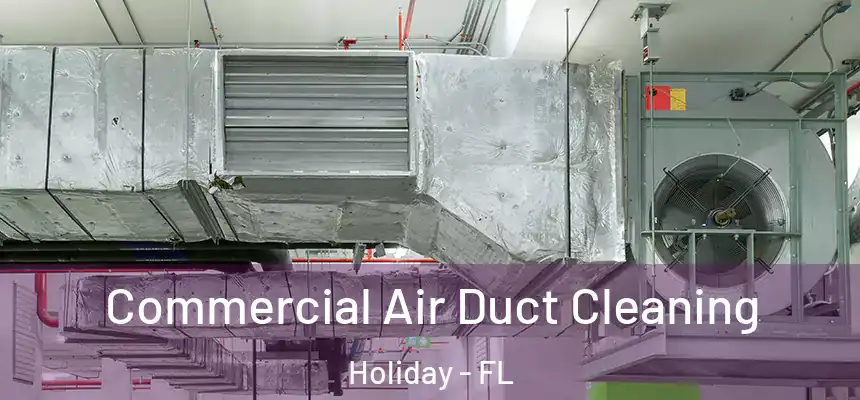 Commercial Air Duct Cleaning Holiday - FL