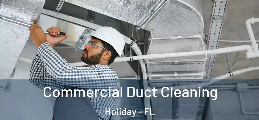 Commercial Duct Cleaning Holiday - FL