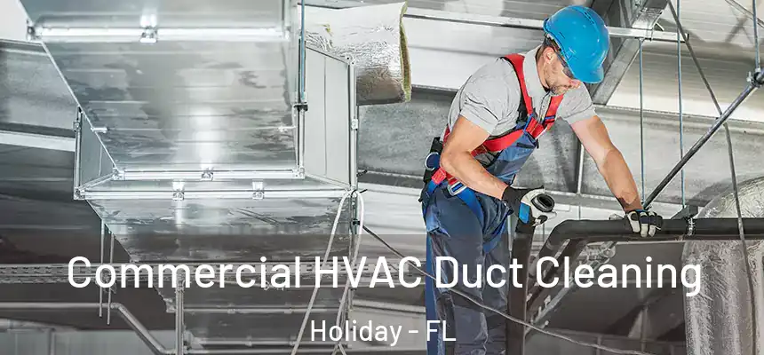 Commercial HVAC Duct Cleaning Holiday - FL