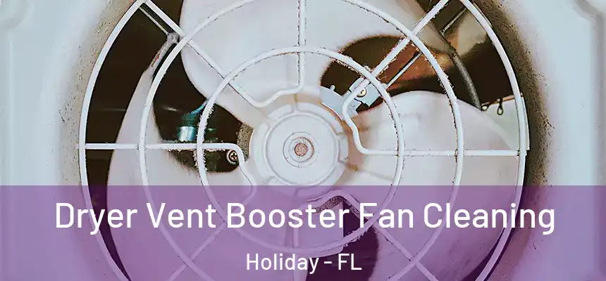 Dryer Vent Booster Fan Cleaning Holiday - FL