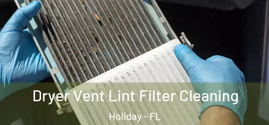 Dryer Vent Lint Filter Cleaning Holiday - FL