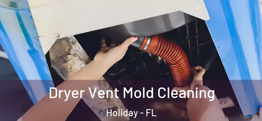 Dryer Vent Mold Cleaning Holiday - FL