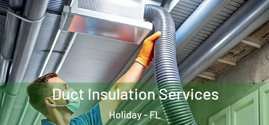 Duct Insulation Services Holiday - FL