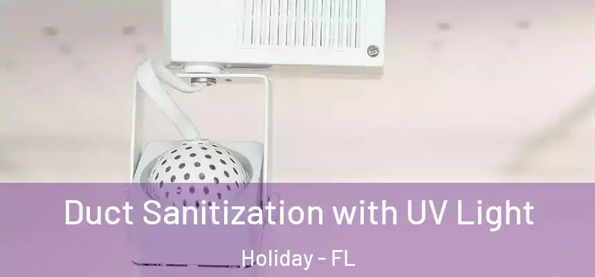 Duct Sanitization with UV Light Holiday - FL