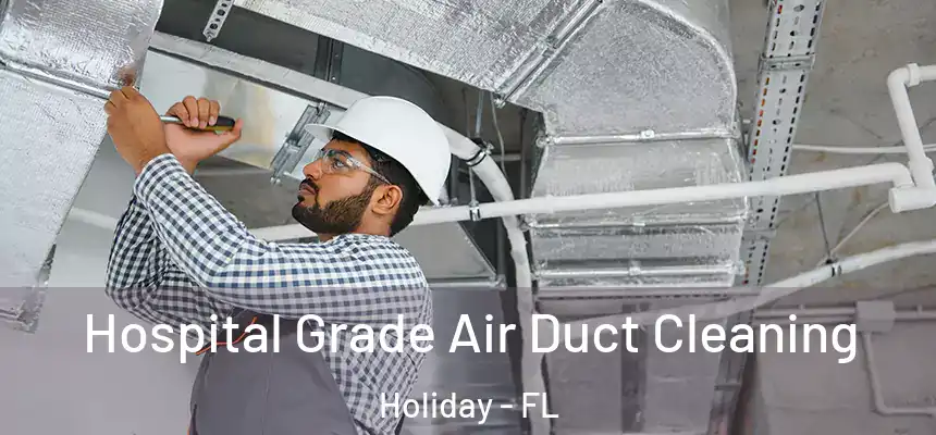 Hospital Grade Air Duct Cleaning Holiday - FL