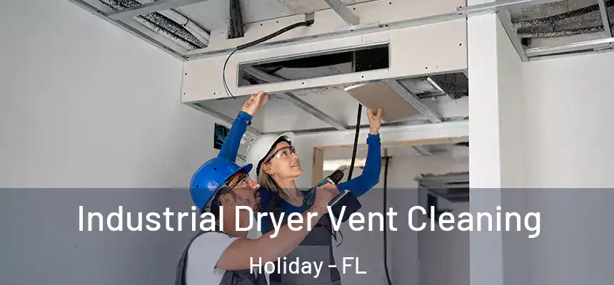 Industrial Dryer Vent Cleaning Holiday - FL