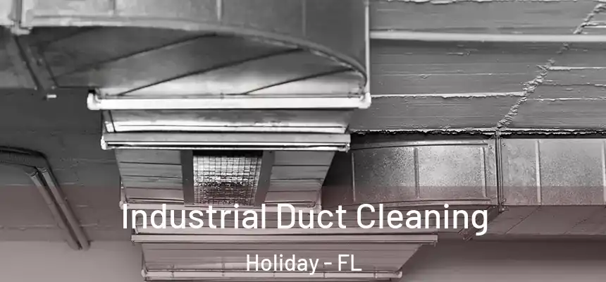 Industrial Duct Cleaning Holiday - FL