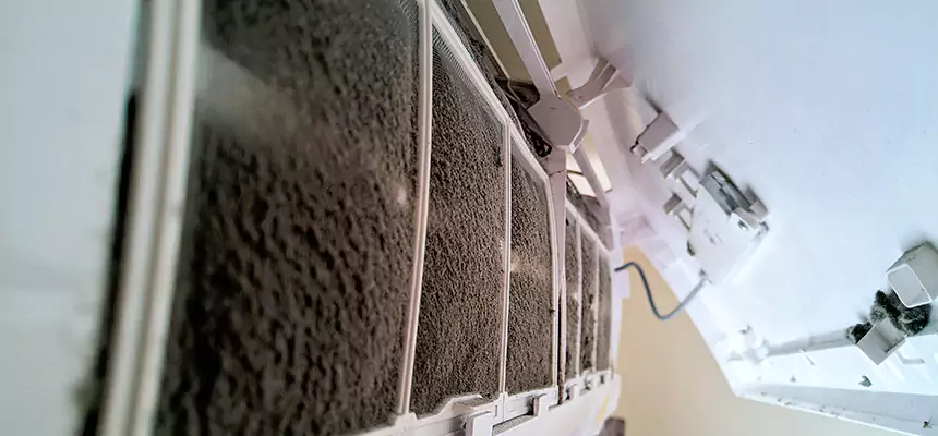 Preventive Air Duct Bacteria Removal in Holiday