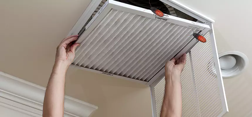 Preventive Cockroach-Proofing for Ducts in Holiday