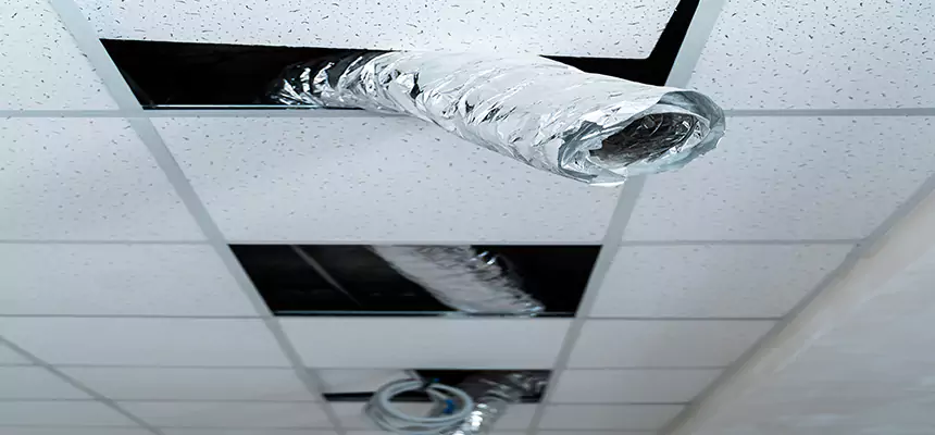 Our Air Duct Pet Hair Removal Services in Holiday, FL