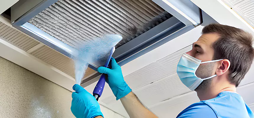 Proactive Dryer Vent & Auxiliary Duct Pollen Cleanup in Holiday, FL