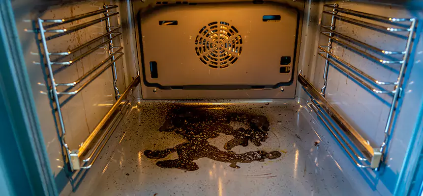 Our Dryer Vent Mold Cleaning Services in Holiday, FL