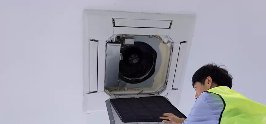 Our Dryer Vent Sanitization Service Services in Holiday, FL