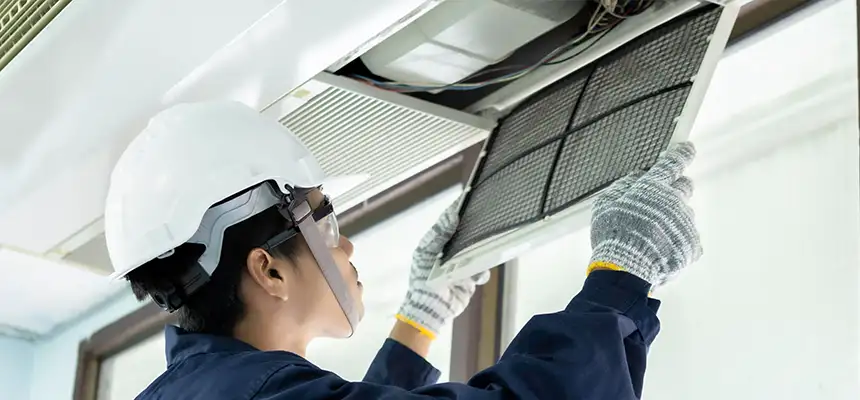 Our Lint Trap Cleaning Service Services in Holiday, FL