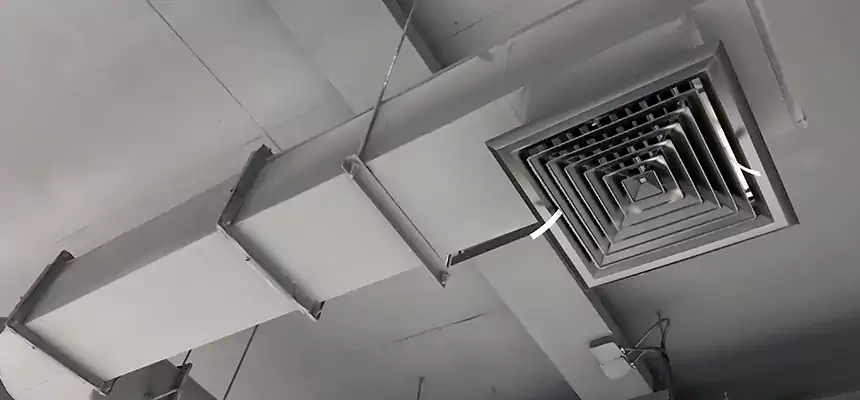 Our Pest Removal From Ducts Services in Holiday, FL