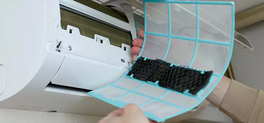 Gentle Ductwork Odor-Control Pet Dander Duct Cleaning in Holiday, FL