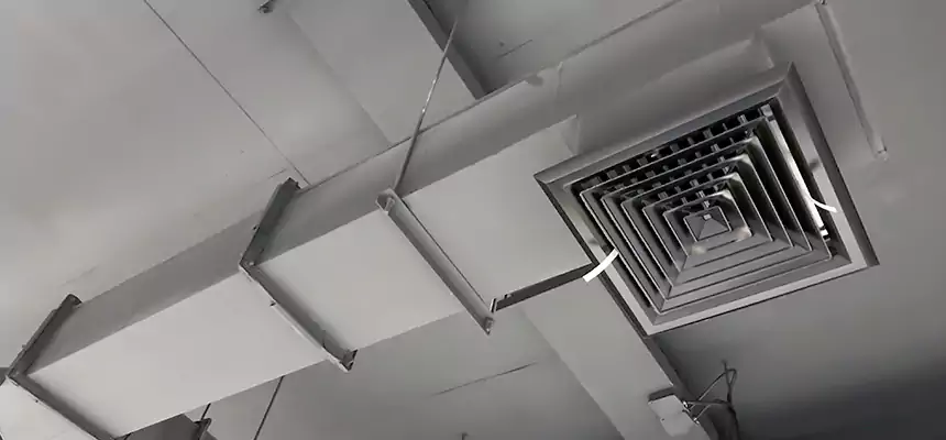 Our Rodent Droppings In Vents Services in Holiday, FL