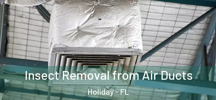 Insect Removal from Air Ducts Holiday - FL