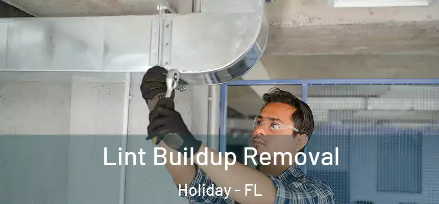 Lint Buildup Removal Holiday - FL