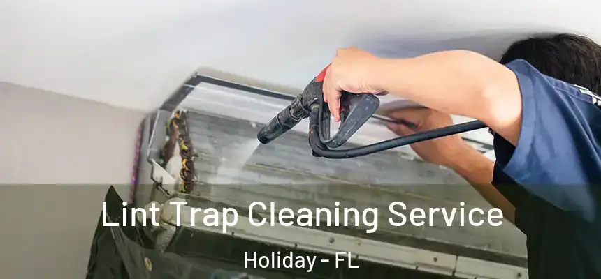 Lint Trap Cleaning Service Holiday - FL