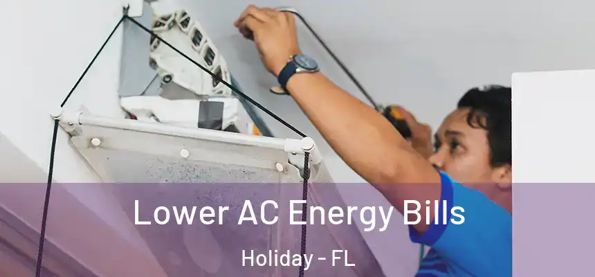 Lower AC Energy Bills Holiday - FL