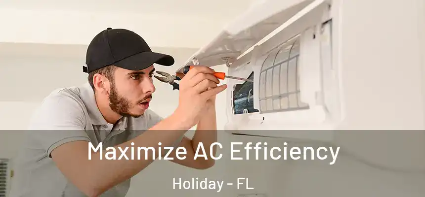 Maximize AC Efficiency Holiday - FL