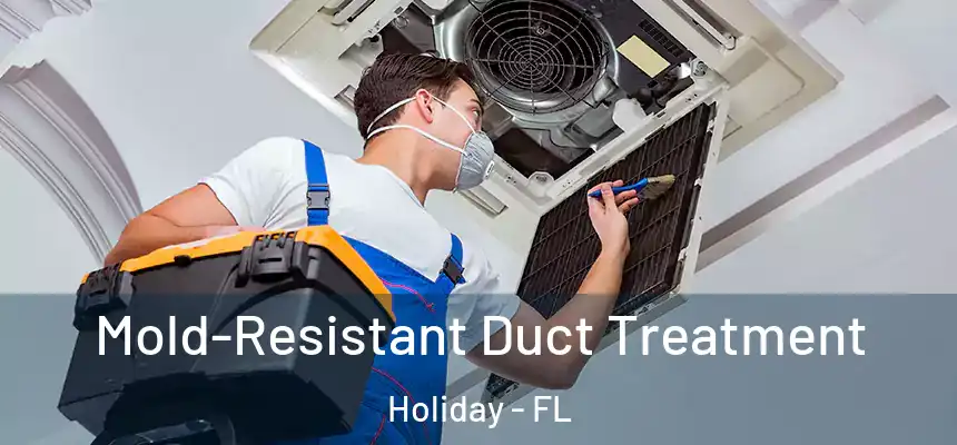Mold-Resistant Duct Treatment Holiday - FL