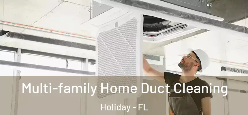 Multi-family Home Duct Cleaning Holiday - FL