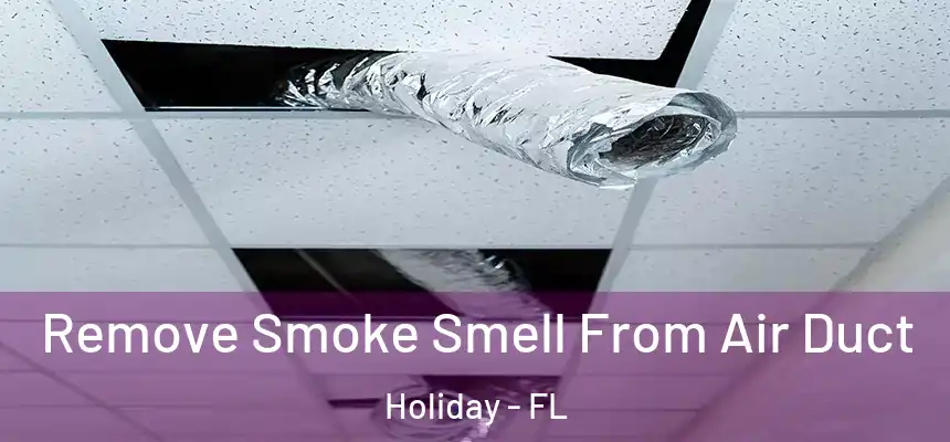 Remove Smoke Smell From Air Duct Holiday - FL