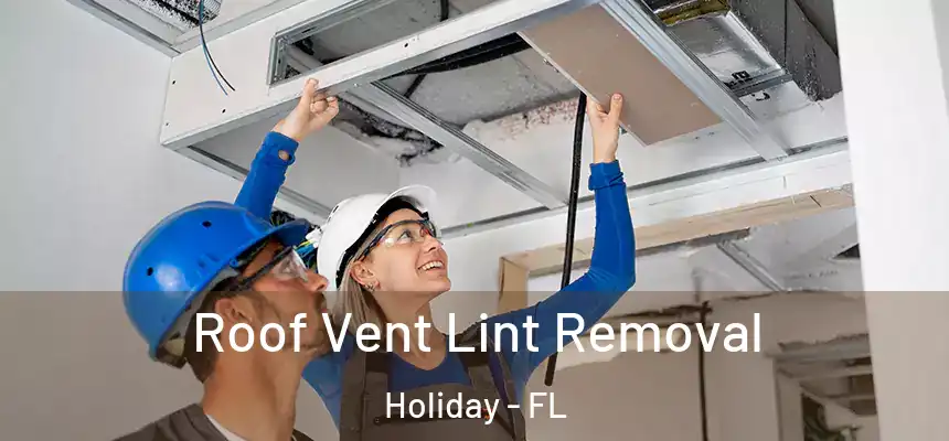 Roof Vent Lint Removal Holiday - FL