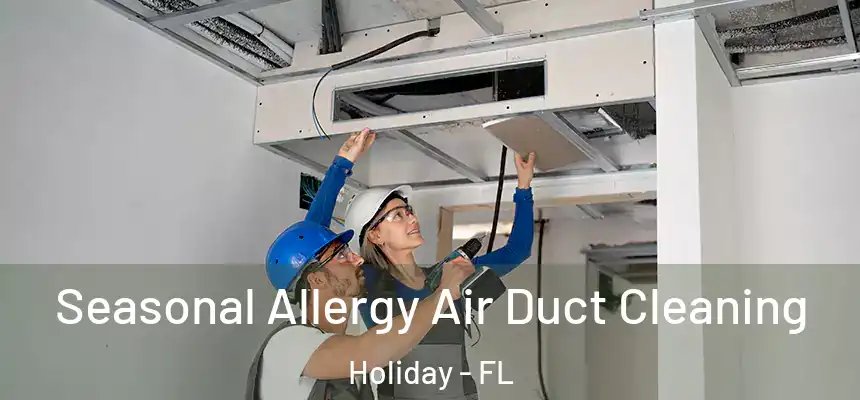 Seasonal Allergy Air Duct Cleaning Holiday - FL