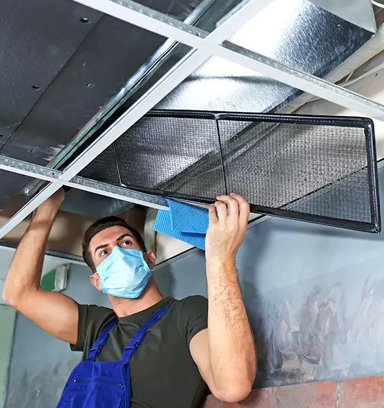 About Air Duct Bacteria Removal in Holiday