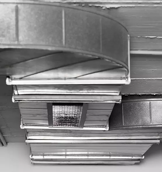 Professional Air Duct Pest Removal in Holiday, FL