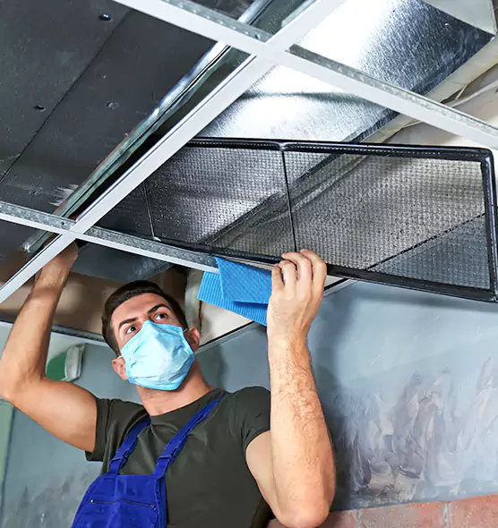 Professional Air Duct Pollen Cleaning in Holiday, FL