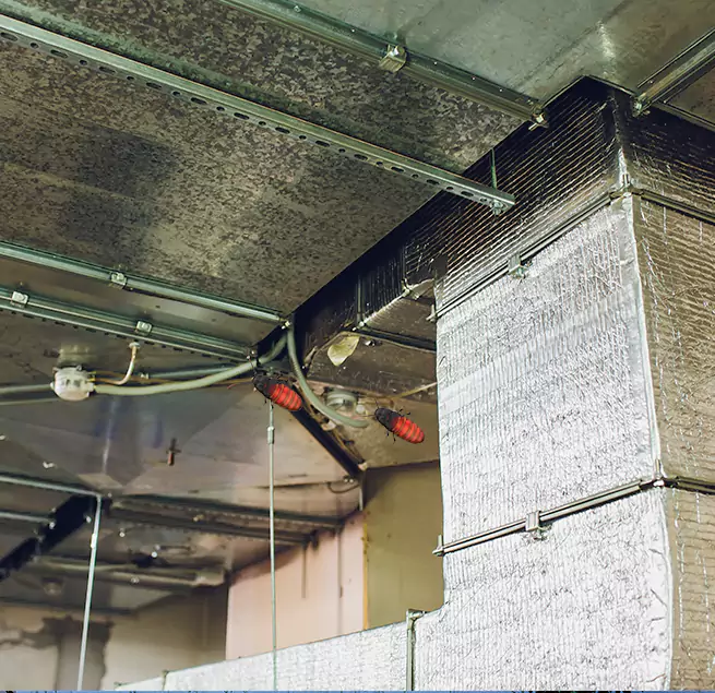 Why Homeowners & Businesses Trust Us in Holiday, FL?