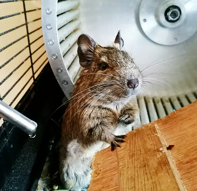 Why Homeowners & Businesses Trust Us Holiday, FL