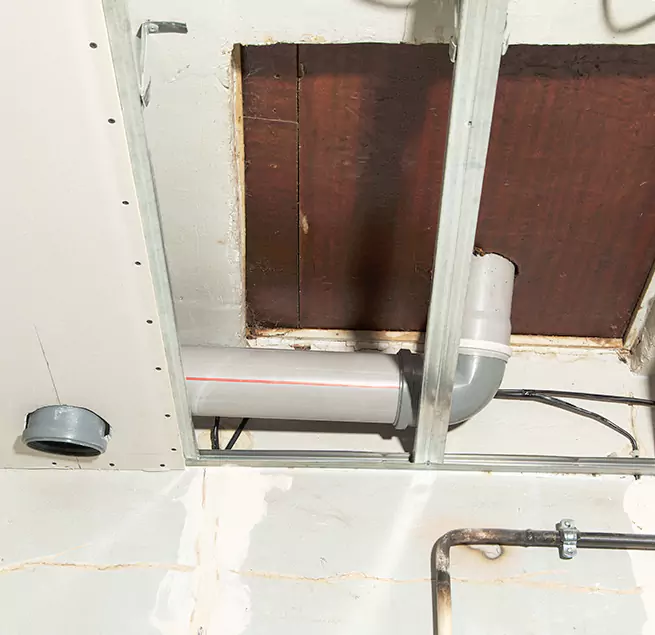 Why Homeowners & Businesses Trust Us in Holiday, FL?