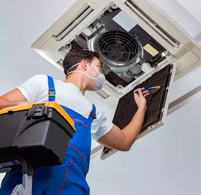 Why Homeowners & Businesses Trust Us in Holiday, FL