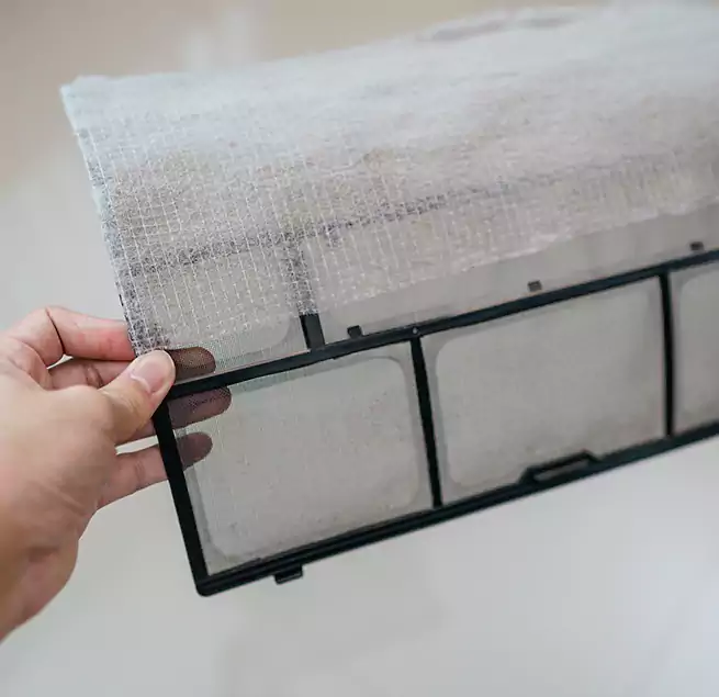 Why Homeowners & Businesses Trust Us in Holiday, FL?