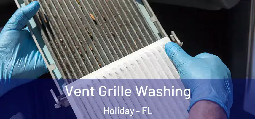 Vent Grille Washing Holiday - FL