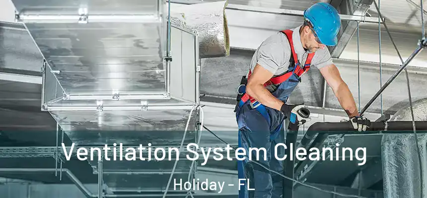 Ventilation System Cleaning Holiday - FL